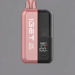 IGET LINK B6000 Wegwerp Vape, 6000 Puffs, Dual Mesh, Smart Screen