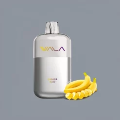 WALA POP 10000 Puffs Wegwerp Vape 15ml Dual Mesh Coil